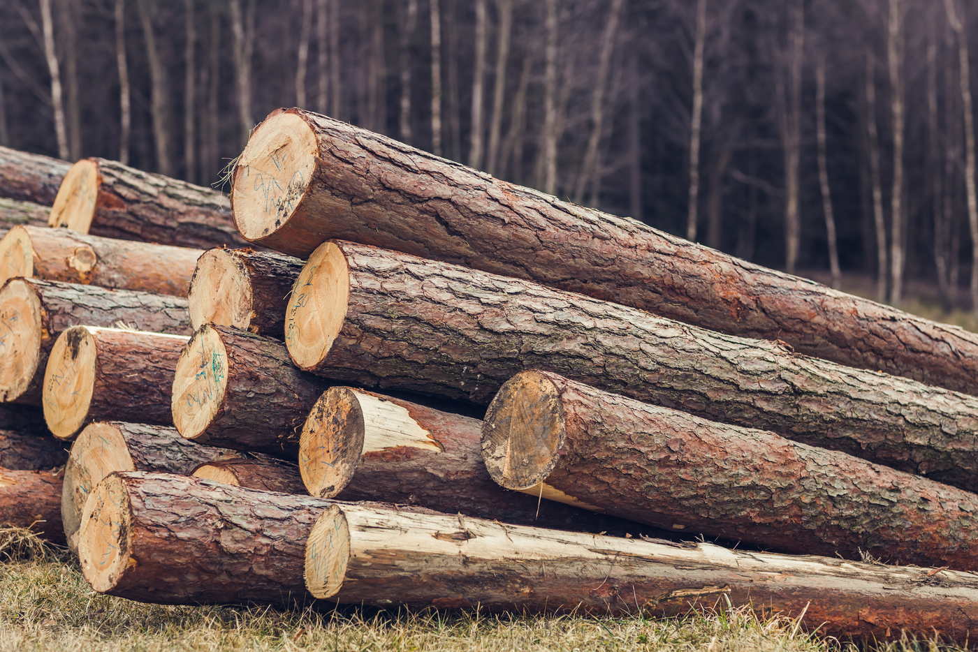 Making The Most Of Your Call Logs Dial 9